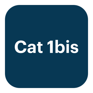 Cat 1bis logo